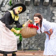 Wizard of Oz - Scoop 2018