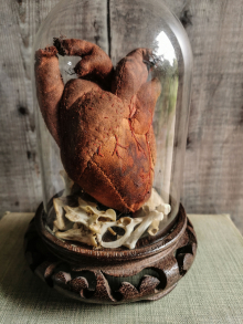 Anatomical Heart